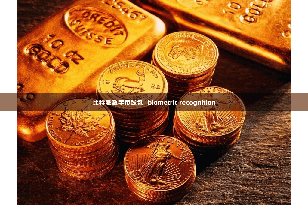 比特派数字币钱包   biometric recognition